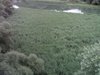 PIC_0330a