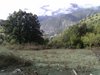 PIC_0561