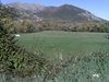 PIC_0750