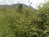 PIC_0105
