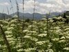 PIC_0194