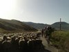 PIC_0369