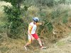 DSCF1167