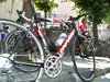DSCF3786