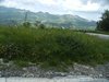 DSCF3677