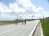 DSCF3629