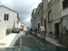 DSCF3665