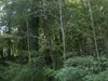 PIC_0736
