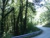 PIC_0735