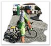 cardellino
