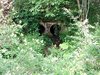 Giugno (15)
